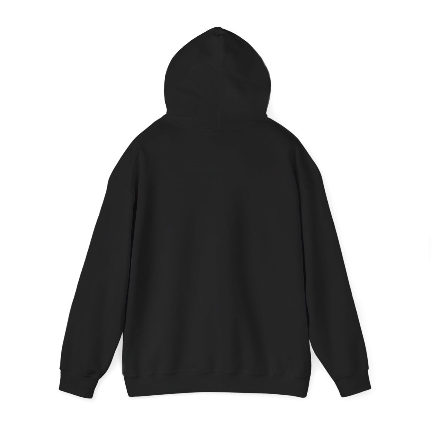 Shoot your local pedo Hooded Sweatshirt
