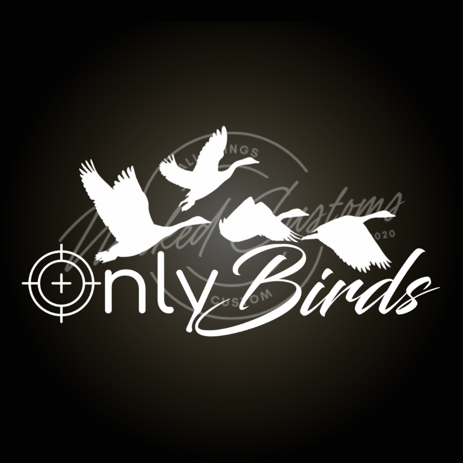 only birds decal